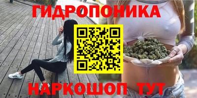 дистиллят марихуана Гай
